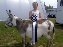 Wisconsin State Donkey and Mule Show  -  June 2011